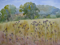 26/6/20 - Lawns, Marsh Thistles outdoor watercolour sketch meadow