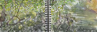 31/7/20 - outdoor sketch watercolour sketch lake outdoor