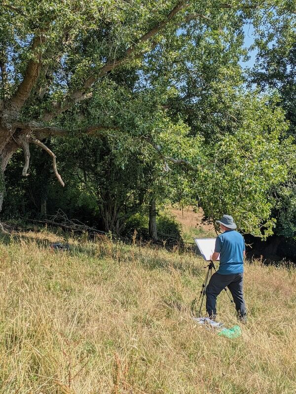 Richard sketching ancient black poplar