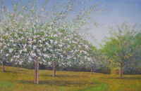 Afternoon in the Orchard studio watercolour apple blossom