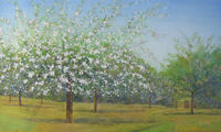 Afternoon in the Orchard studio watercolour apple blossom