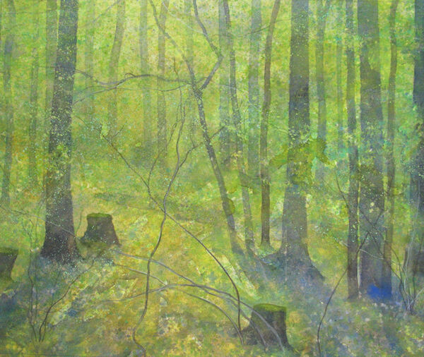 study wood April light