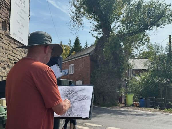 artist drawing native black poplar