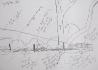 Ash & Bluebells - sketch