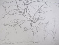 Beneath the Spreading Apple Tree - study