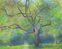 Beneath the Spreading Apple Tree