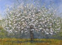 27/5/20 - outdoor watercolour sketch outdoor sketch watercolour blossom