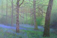 Bluebell Glade - Between Showers