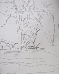 Chiff Chaff Calling - study