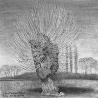 charcoal sketch of veteran pollard black poplar in Herefordshire