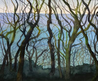 Culbone Wood, Evening Descends wood exmoor evening