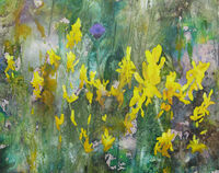 Dyer's Greenweed with Knapweed watercolour ink Dyer's Greenweed meadow