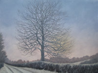 Elegy for the Ash