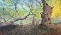 Fall, Decay, Light, Renewal spring watercolour of ancient oak with fallen tree