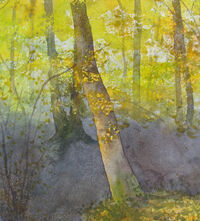 Gully Edge, Autumn early autumn oak by gully edge