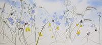 Harebells - watercolour in progress watercolour harebells