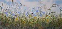 Harebells watercolour harebells