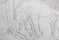 Hawthorn & hlackthorn - remnant hedgerow outdoor sketch hawthorn