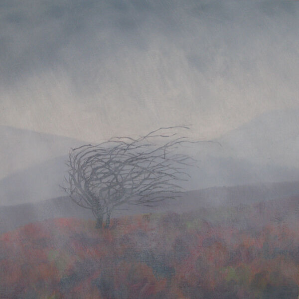 oil hawthorn squall