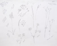 Outdoor pencil sketch June 2019 pencil sketch outdoor meadow
