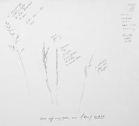 Outdoor pencil sketch June 2019 pencil sketch outdoor meadow