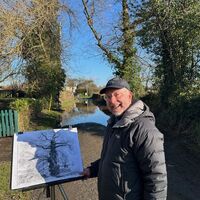 Drawing female black poplar