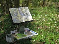 April 2020 - North Wood watercolour sketching outdoor watercolour spring wood