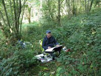 September 2020 - sketching in North Wood drawing outdoors wood