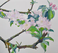 Joy of Blossomtime watercolour apple blossom