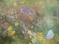 Life in Crossway Meadow - detail watercolour ink butterflies meadow
