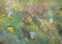 Life in Crossway Meadow wildflower meadow painting