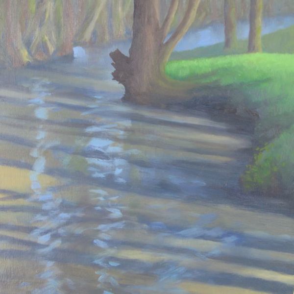 Lugg Reflections