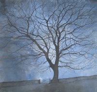 Night Tree
