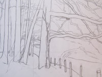 Edge of the Wood