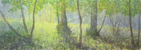 North Wood, Late Summer - in progress studio watercolour early stage