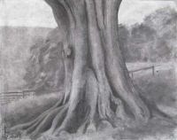 Oak Tree Study I