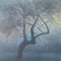 Old Cider Apple - Winter Morning II