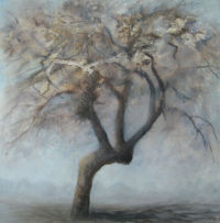 Old Cider Apple - Winter Morning I