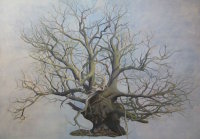 Old Oak