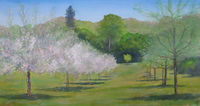 Orchard Blossom watercolour orchard