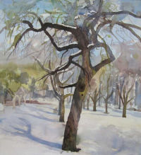 Orchard - Winter I
