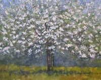 Outdoor Sketch - Cider Apple Blossom outdoor sketch watercolour blossom