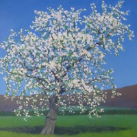 Pear Tree