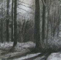 Queenswood - Autumn Evening