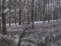 charcoal woodland bluebells
