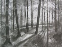 Queenswood - into the light