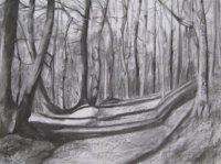 Queenswood - Hidden Path