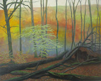Regeneration oil woodland regeneration