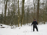 Exploring North Wood in the snow - March 2018