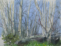 Silver Birches -outdoor sketch watercolour outdoor birches